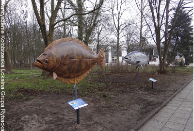 Park Ryb Morskich w Kołobrzegu